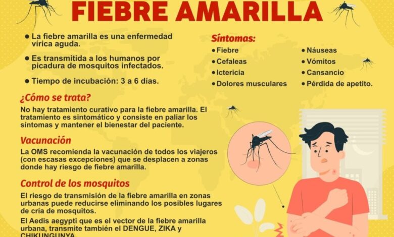 Fiebre amarilla en Colombia. Todo Lo que debe saber sobre esta ...