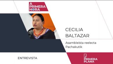 CECILIA BALTAZAR. ASAMBLEÍSTA REELECTA PACHAKUTIK - YouTube