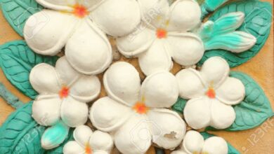 Artesanía Cemento Bajo Relieve De Estilo Tailandés Del Plumeria O ...