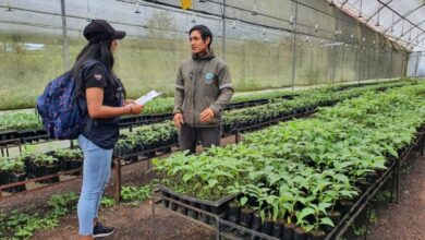 Se inicia el Registro Nacional Agropecuario en Galápagos - Tierra ...