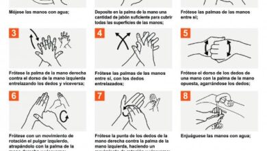 Texto completo | Argentina.gob.ar