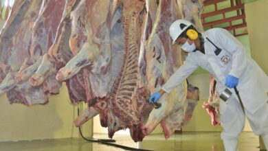 Camal Municipal: Innovación y calidad para el 2025 – GAD ...