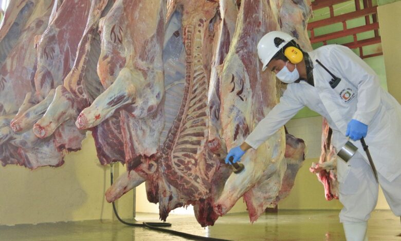 Camal Municipal: Innovación y calidad para el 2025 – GAD ...