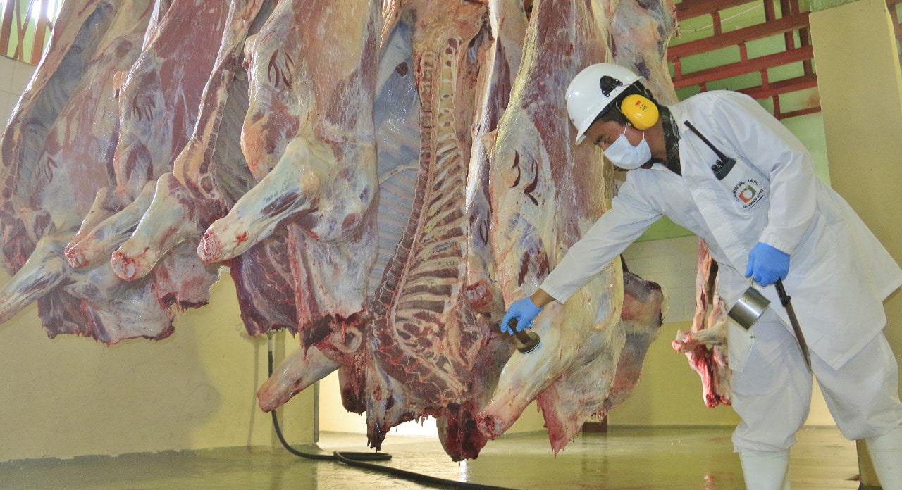 Camal Municipal: Innovación y calidad para el 2025 – GAD ...