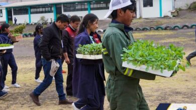 HUERTOS ESCOLARES SE IMPLEMENTARÁN EN LAS U.E. DE ...