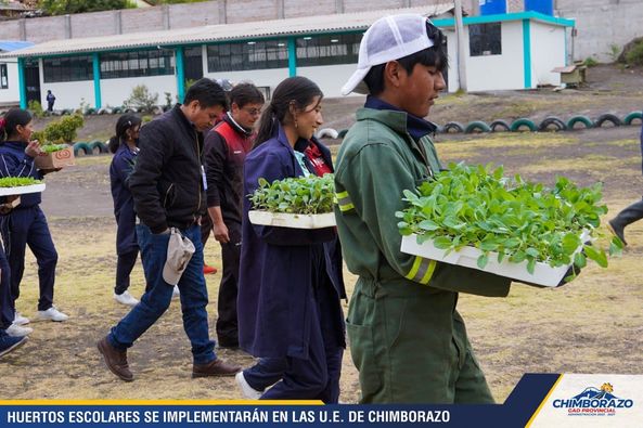 HUERTOS ESCOLARES SE IMPLEMENTARÁN EN LAS U.E. DE ...