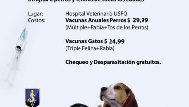 Campaña de vacunación y desparasitación de perros y felinos en el ...