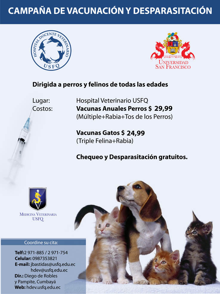 Campaña de vacunación y desparasitación de perros y felinos en el ...