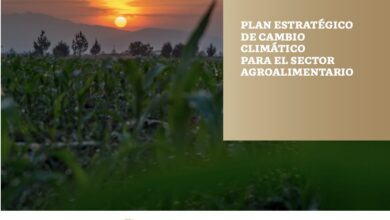 PLAN ESTRATÉGICO INSTITUCIONAL 2023-2026