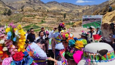 Agro sostenible: Mincul impulsa recuperación de andenes y saberes ...