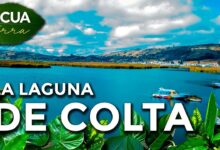 Ecuaterra🌱| La laguna de Colta en Chimborazo está a 3 300 metros sobre el  nivel del mar | Ecuavisa