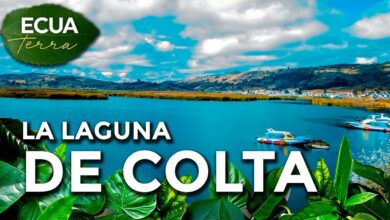 Ecuaterra🌱| La laguna de Colta en Chimborazo está a 3 300 metros sobre el  nivel del mar | Ecuavisa