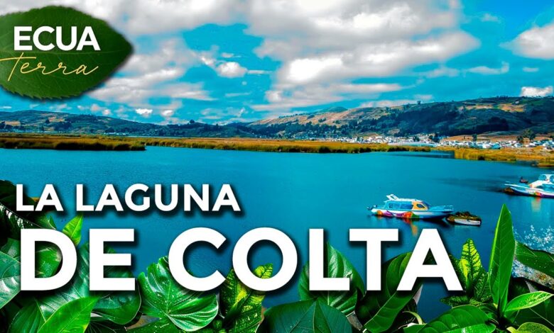 Ecuaterra🌱| La laguna de Colta en Chimborazo está a 3 300 metros sobre el nivel del mar | Ecuavisa