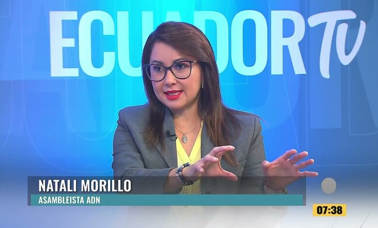 Esperemos que la reforma sobre el financiamiento de organizaciones no se  estanque -Nataly Morillo