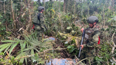 1.000 militares y policías hacen operativos contra la minería ...