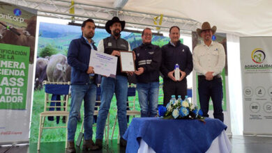 MAG otorga la primera Certificación Grass Fed a hacienda en ...