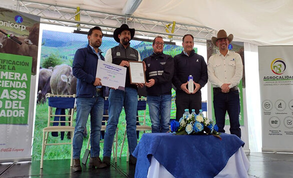 MAG otorga la primera Certificación Grass Fed a hacienda en ...