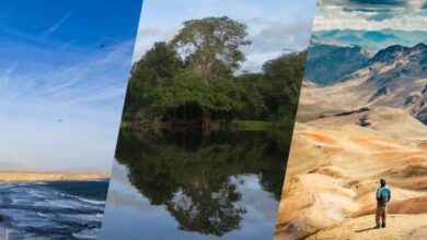 CLIMAS DEL PERÚ – Mapa de Clasificación Climática Nacional