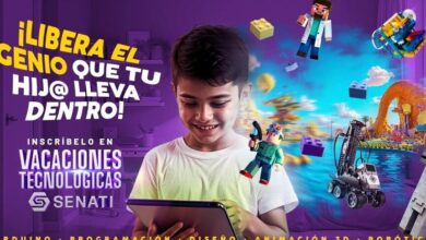 Cursos de verano 2025: tecnología y diversión para tus ...