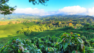 7 sitios turísticos de la región Andina de Colombia
