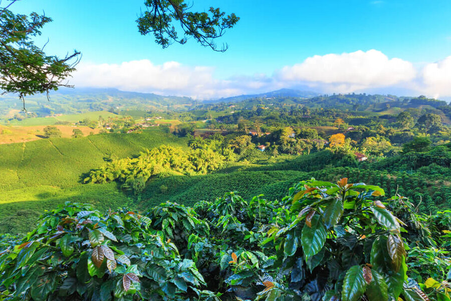 7 sitios turísticos de la región Andina de Colombia