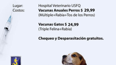 Campaña de vacunación y desparasitación de perros y felinos en el ...