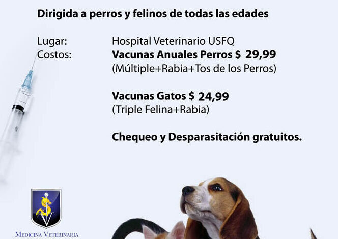 Campaña de vacunación y desparasitación de perros y felinos en el ...