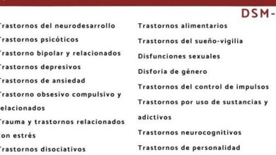 19 Tipos de trastornos mentales y sus características