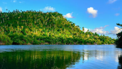 JGM_ADMIN, Author at Caribbean Tours