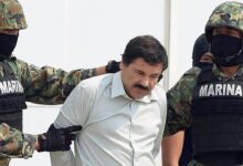 PN y MP desmantelan estructura de crimen organizado dedicada al ...