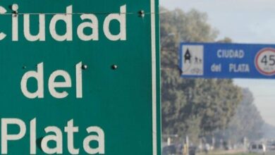 Violenta pelea de dos mujeres en Ciudad del Plata: fueron ...