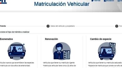 La AMT habilita una nueva plataforma de matriculación en línea ...