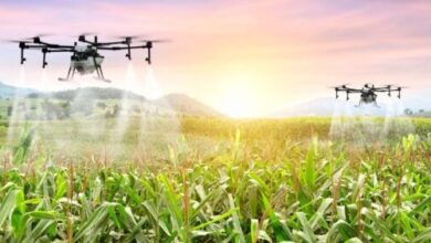6 Innovaciones en la Agricultura | Miller Chemical