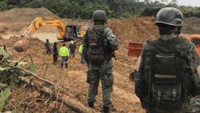Desde la firma del acuerdo de paz entre el gobierno colombiano y ...