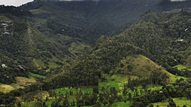 Panorama andino sobre cambio climático