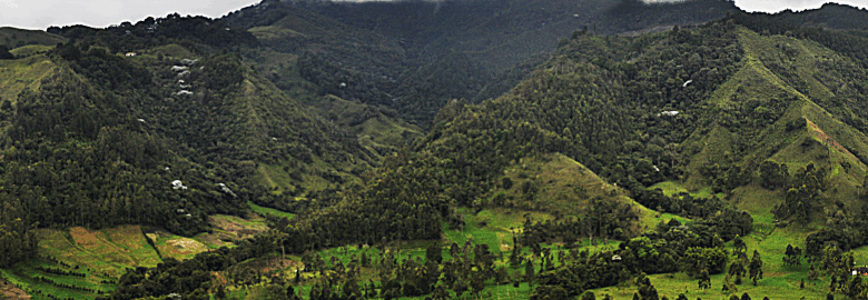 Panorama andino sobre cambio climático