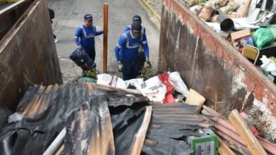 La capital sin 'tereques' por una iniciativa de limpieza