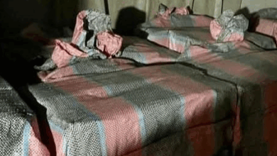 Condenan a 22 años de prisión por traficar 600 kilos de cocaína en ...