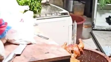 ¡Clausuradas! Vendían comida típica entre ... - El Telégrafo