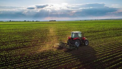 Perú | Midagri: Rumbo a la digitalización de la agricultura | DPL News