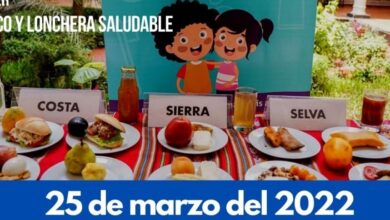 TALLER KIOSCO Y LONCHERA SALUDABLE – Sisanas EIRL