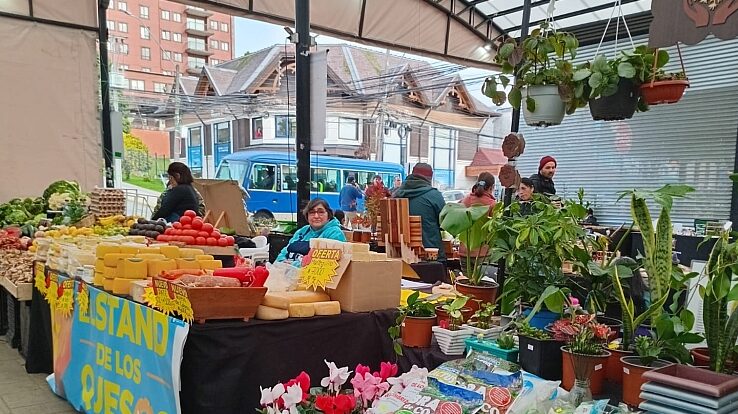 En calle techada Santa Rosa de Puerto Varas atienden comerciantes ...