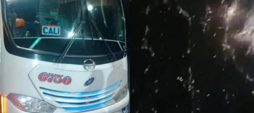 Buscan a los asaltantes de bus de pasajeros en la vía Panamericana ...