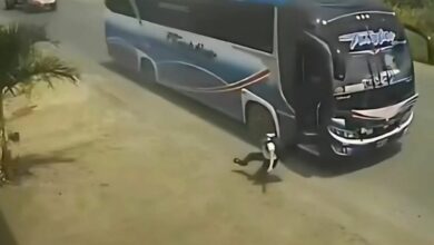 Controlador arriesgó la vida de un niño tras empujarlo de un bus ...