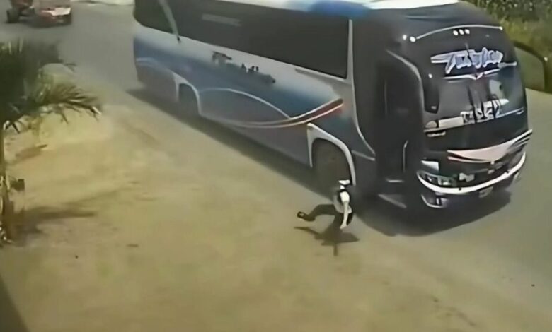 Controlador arriesgó la vida de un niño tras empujarlo de un bus ...
