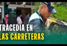 Bus de viaje de promoción cae al abismo: Accidente deja siete ...