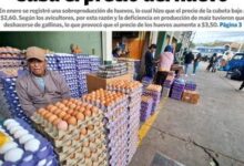 ORO, BANDAS Y GOBERNANZA: LA CRISIS QUE ENFRENTAN LAS COMUNIDADES ...