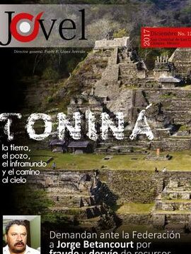PDF) BOLOM Revista del Centro de investigaciones Frans Blom