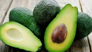 Aguacate, guayusa, guanábana y quinua, las apuestas de Ecuador ...