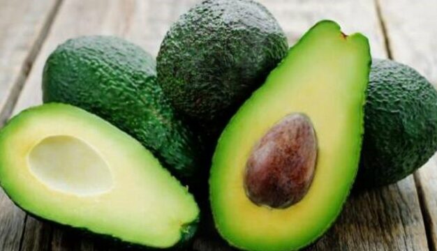 Aguacate, guayusa, guanábana y quinua, las apuestas de Ecuador ...